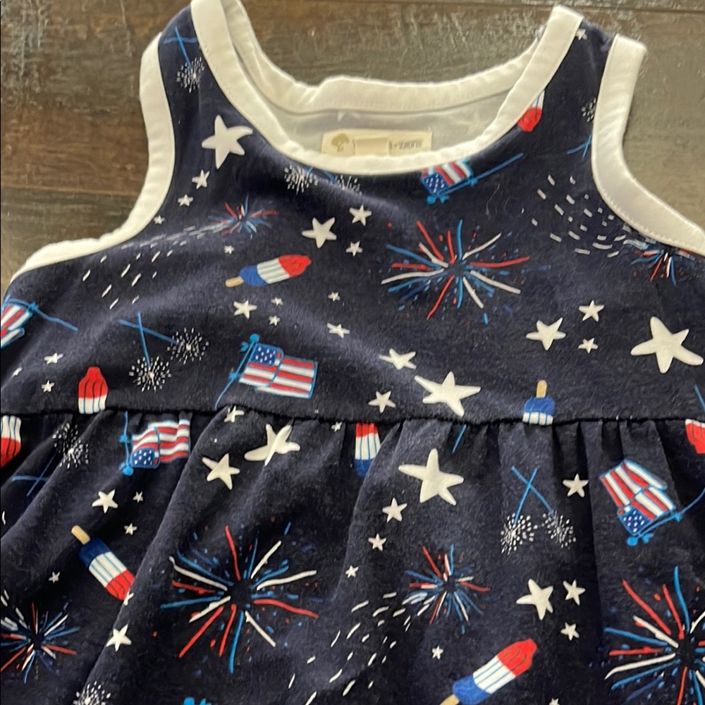 Patriotic Sleeveless Dress - Picture 4 of 4